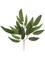 21" Exquisite Mango Leaf Spray Set of 48 - Lush Artificial Foliage for Home Décor and Crafts - Lifelike Mango Leaves